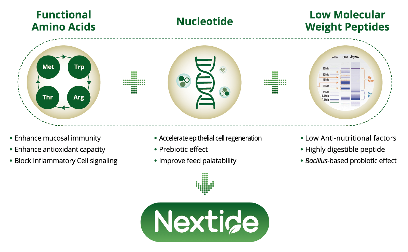 Nextide - Premium Dark Pattern Gallery - Ultra HD